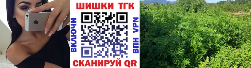 где купить наркотик  Жердевка  Конопля Ganja 